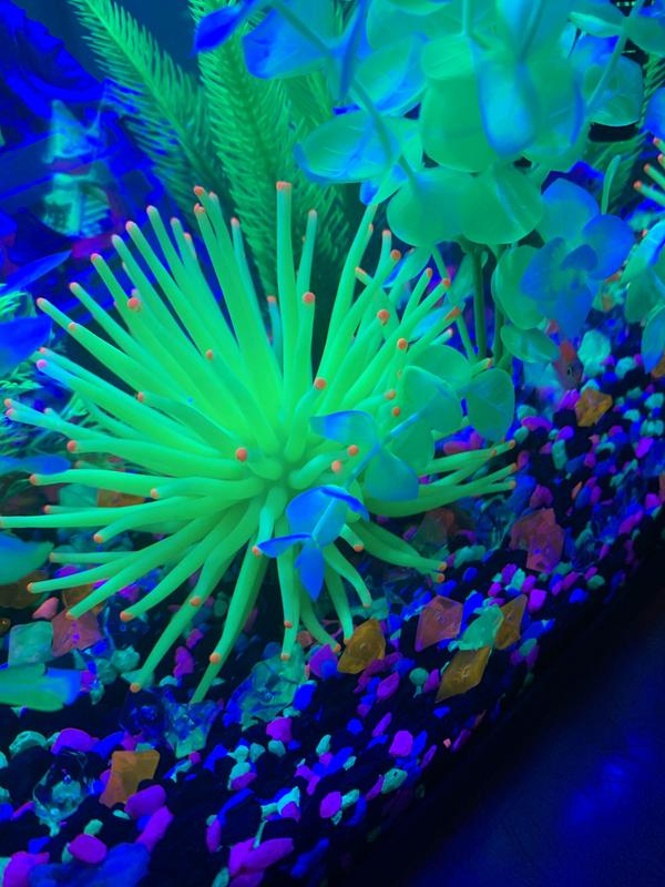 GloFish Anemone Yellow Aquarium Ornament, 4.5 L x 4.5 W x 2.25 H