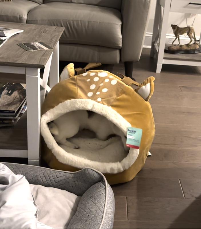 Photo - commentaire 3.