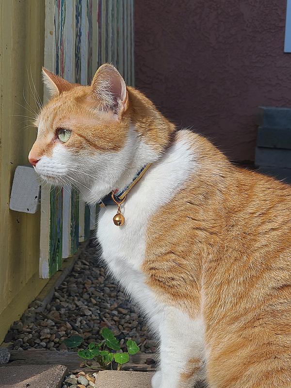 In case you want to see his best side.