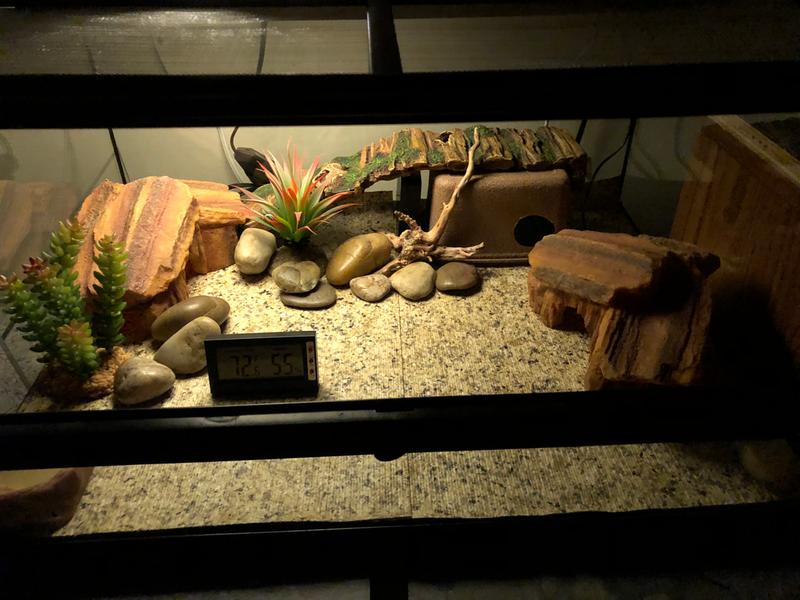 Exo Terra Outback 22 Gal Terrarium for Reptiles & Amphibians