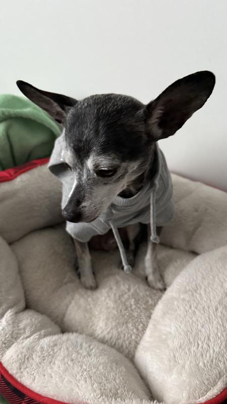 He’s 11-12lbs in size xsmall