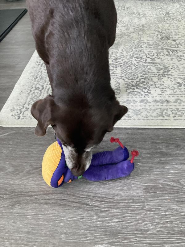 Playing 2