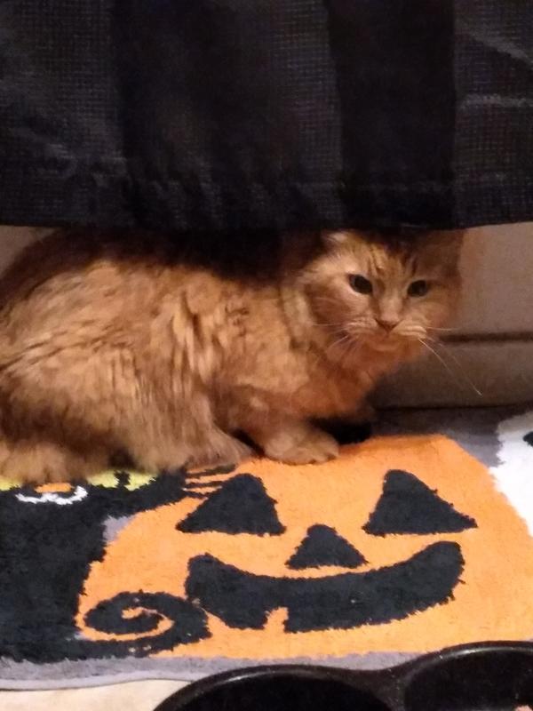 Loves the bathroom, it's nice and warm!