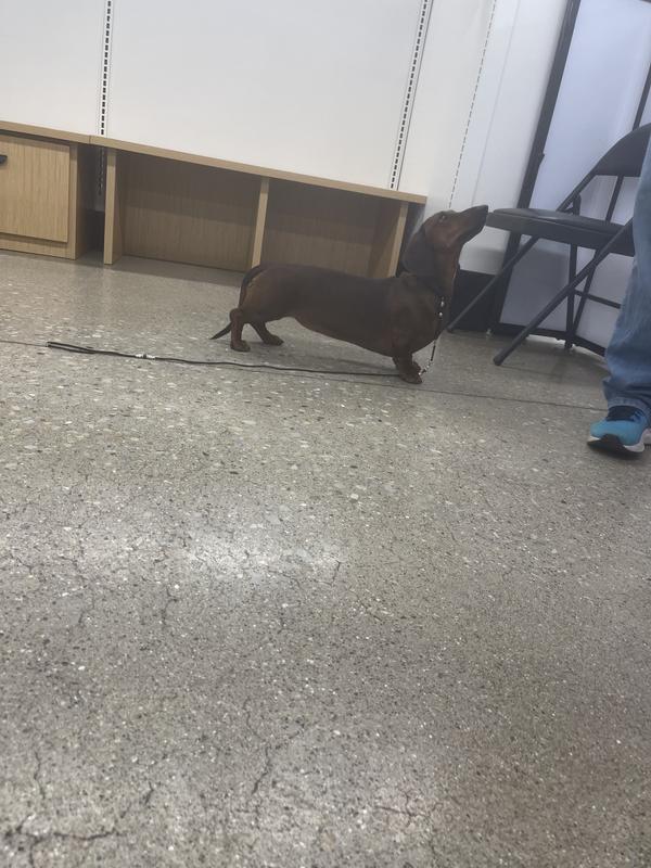 Photo - commentaire 5.