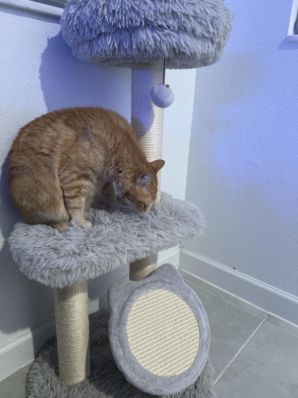 Sister is just chillin’