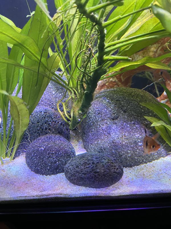 Easy to arrange