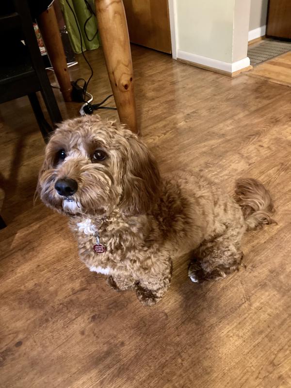 After groom