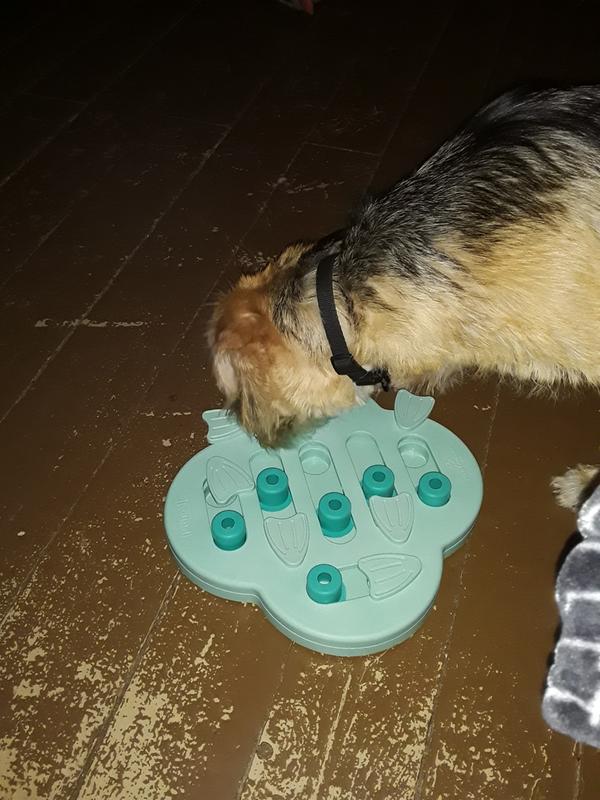 Murray finding the treats