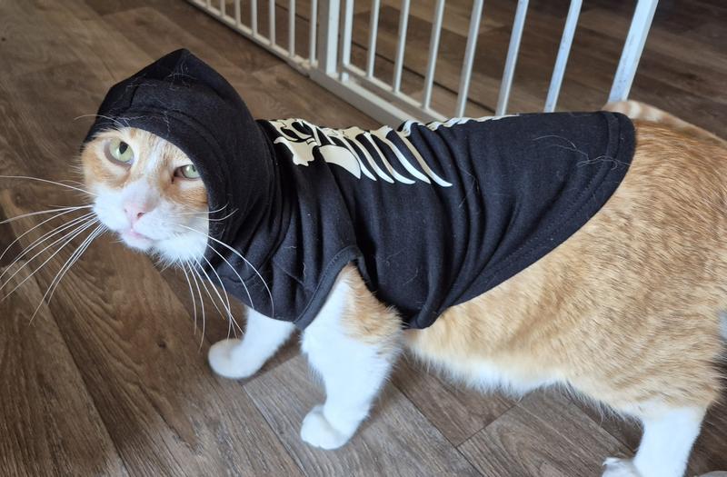 Hood up