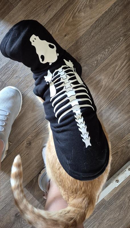 Skeleton part glows in the dark