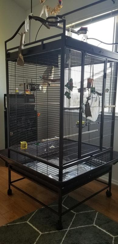 HQ Victorian Parrot Bird Cages 32x23