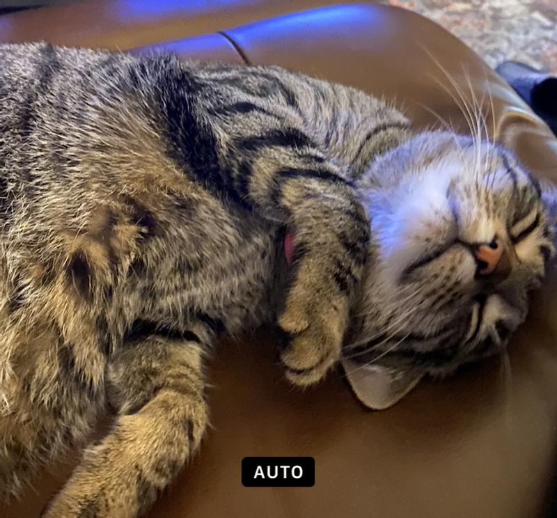 She loves to sleep