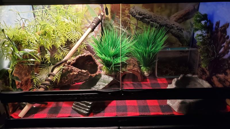 Snake Bedding Reptile Mat Zoo Med Carpet Green Eco Carpet