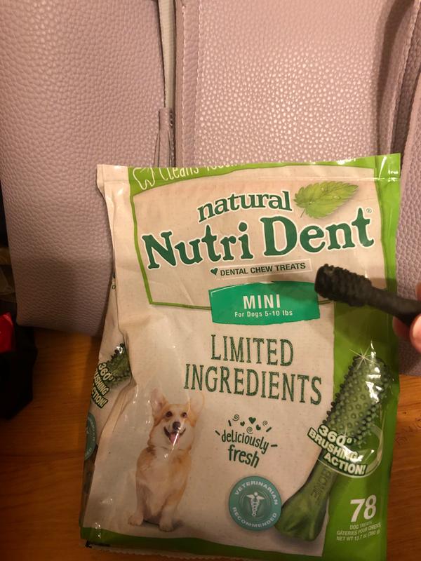 Nutri dent clearance mini