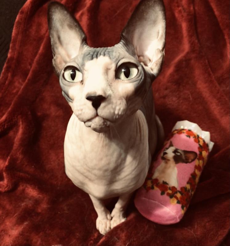 Bootique Plush Pink Candle Cat Kicker Toy, Small | Petco