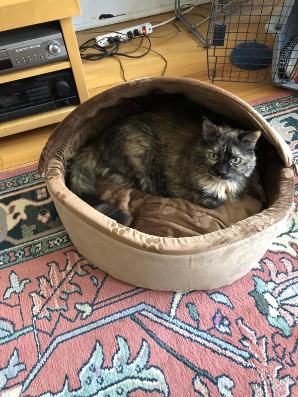 K&H Chocolate and Tan Self Warming Hooded Cat Bed, 16" L x 16" W Petco