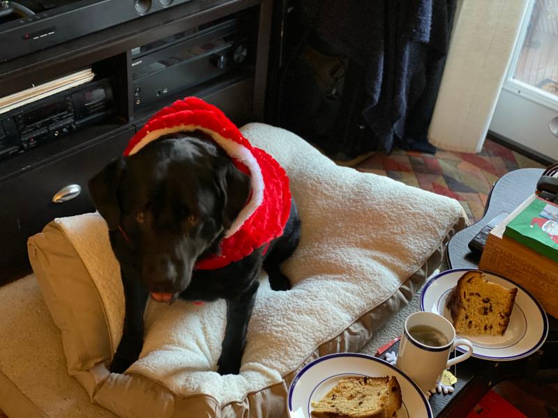 Photo - commentaire&nbsp;7.