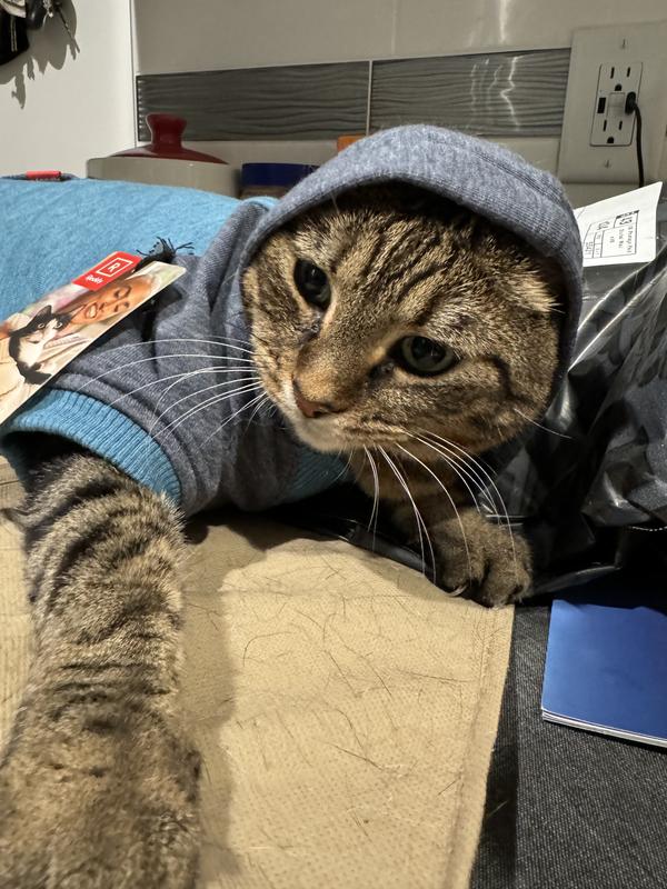 Reddy Teal Eco-Friendly Cat Hoodie for Small/Medium Cats