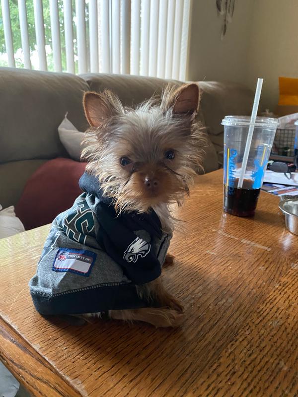 EAGLES NFL Team Hoodie – Paw Dazzle Pet Bakery and Boutique