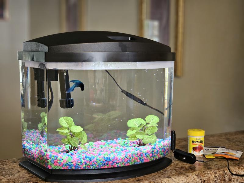 Aqueon LED MiniBow Small Aquarium Fish Tank Kit with Zimbabwe