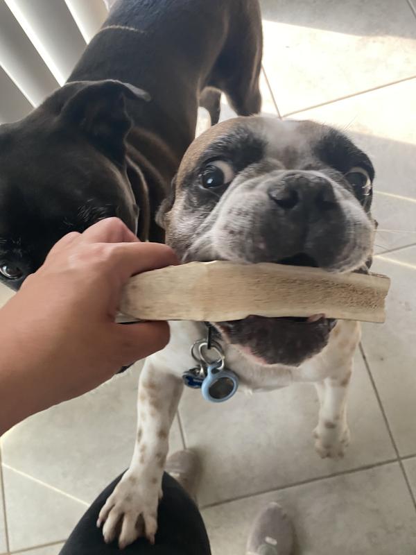 Those eyes!