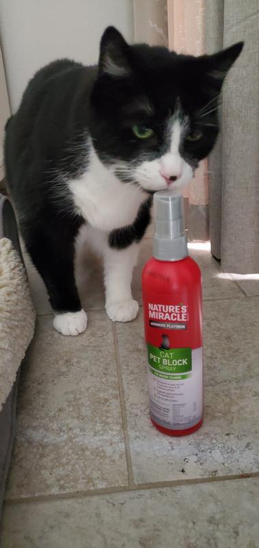 The product did not repel the cat