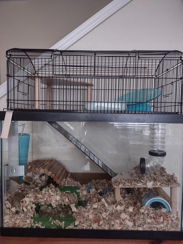 20 gallon outlet hamster cage