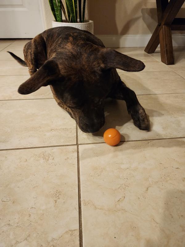 Theres a squeaky sound?