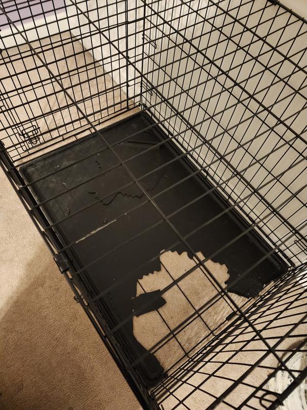 Petco hotsell crate pan