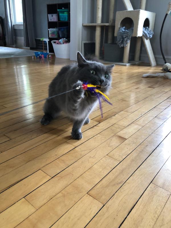 Trying to take Da Bird and run away with it!