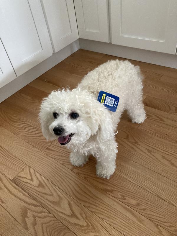 I'm ready for my walk, mom!