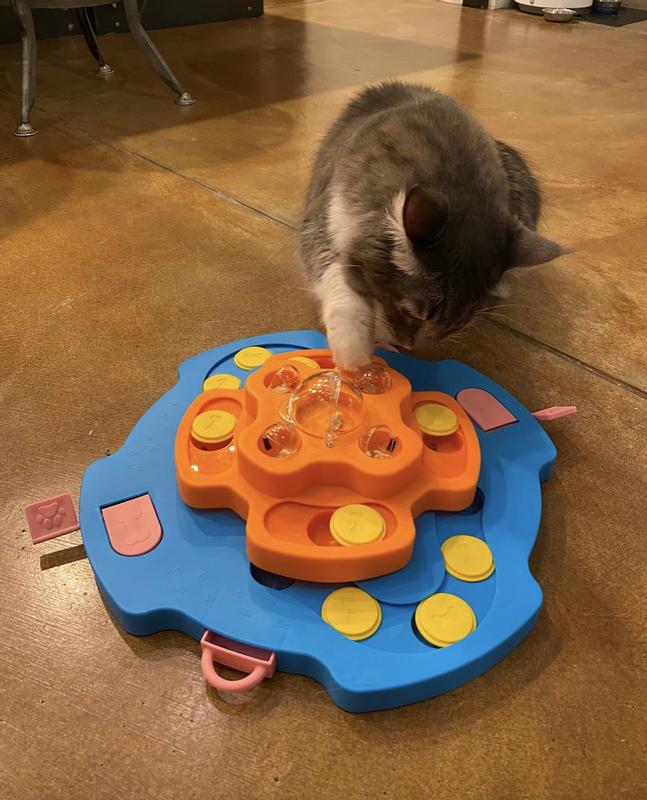 A cat working to get a treat out of one of the small circular globe holes
