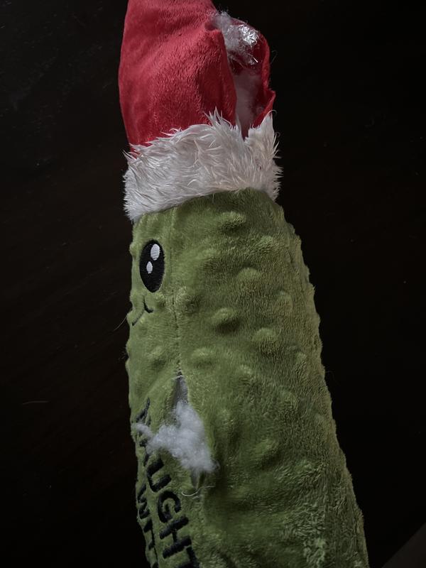 Merry Makings Plush Big Dill Pickle Dog Toy, Small