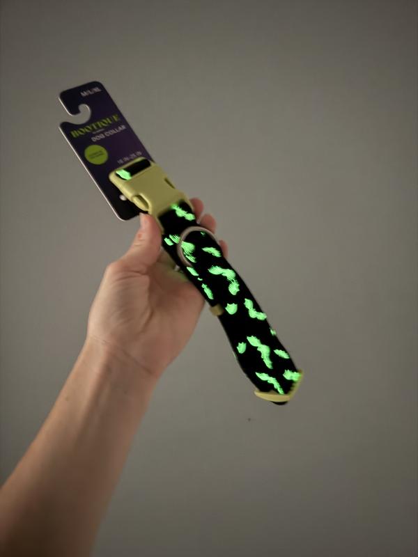 Glow in the dark