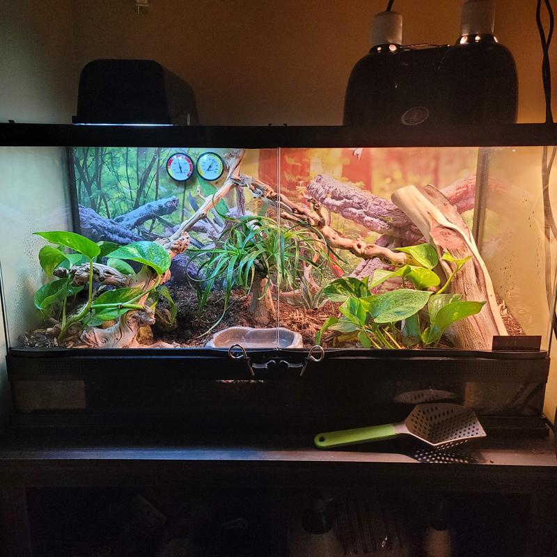 Installed into my 25 gallon zoo med double door terrarium.