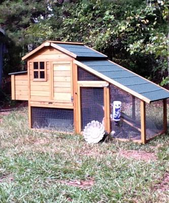 TRIXIE Natura Peak Roof Chicken Coop with Outdoor Run | Petco