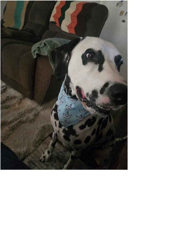 Styling her bandana