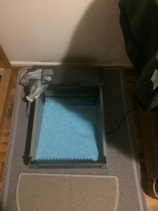 SmartScoop Litter Box #5.