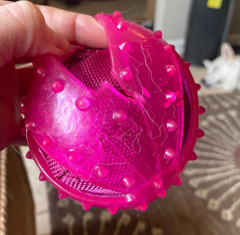 Photo - commentaire&nbsp;1.