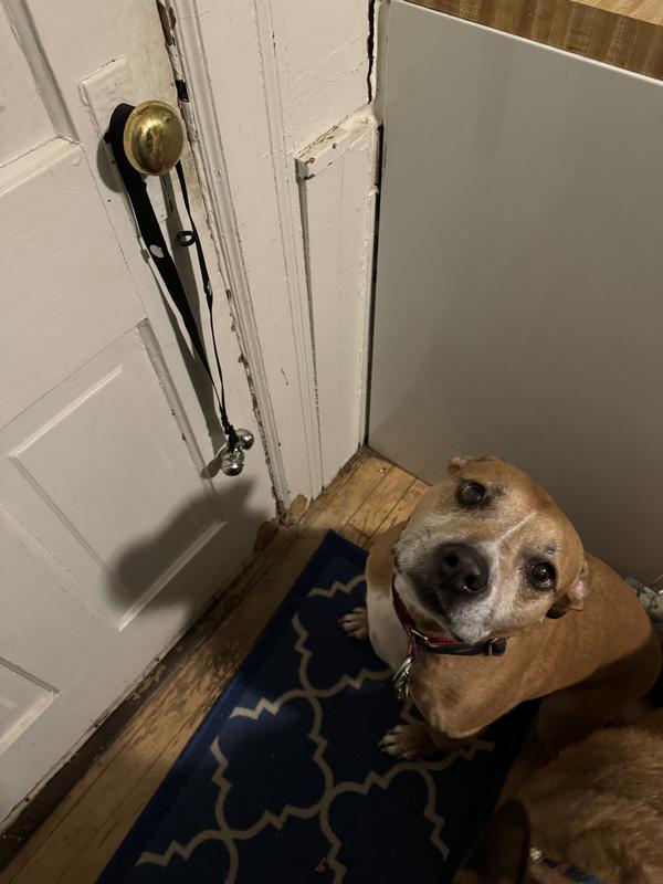 So Phresh Potty Bells For Dogs