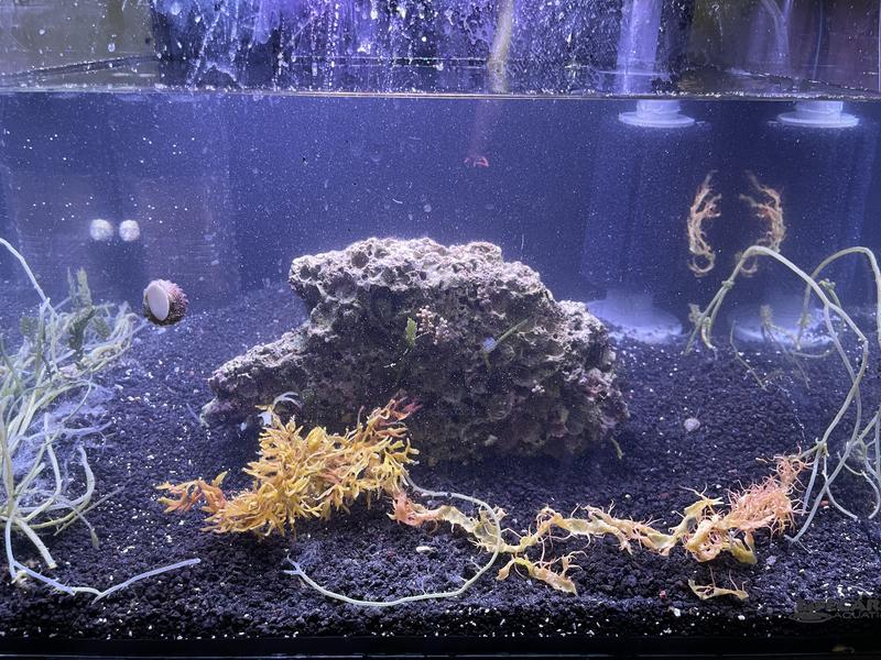 Black clearance aquarium sand