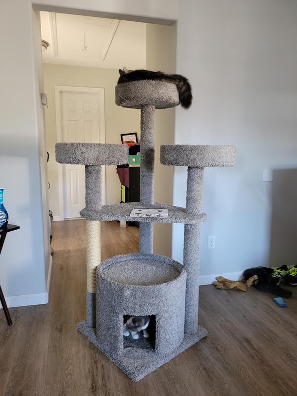 Prestige best sale cat trees