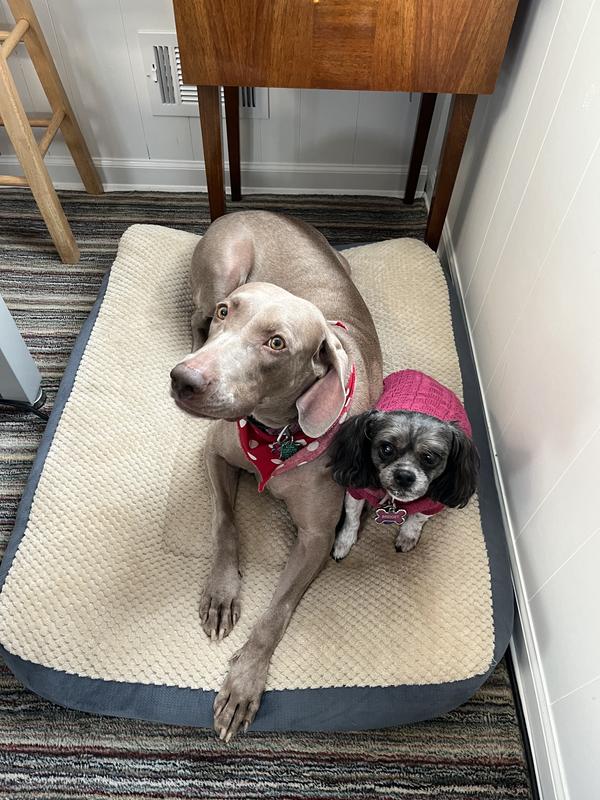 Emma & Bridget