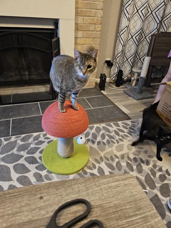 EveryYay Funky Toadstool Cat Scratch Post Play Station