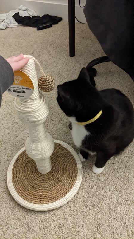 Easy kitty building clearance system seagrass scratching post