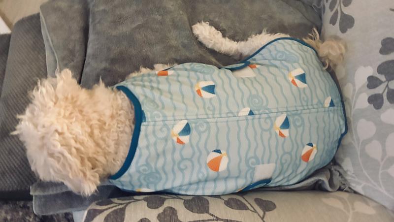Snoring peacefully in her cooling vest, no more panting.
