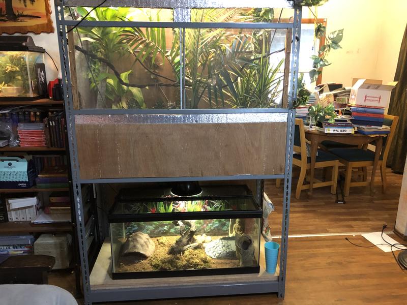 It safely operates our milk snake, whites tree frog and two vailed chameleons vivariums
