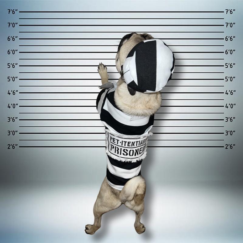 Photo - commentaire 2.