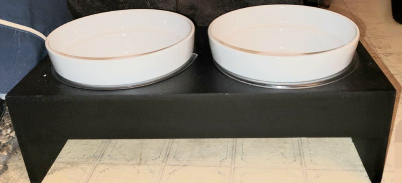 Harmony elevated dog bowl double clearance diner