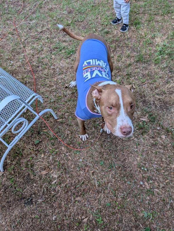 He says, I Love my new pride shirt!